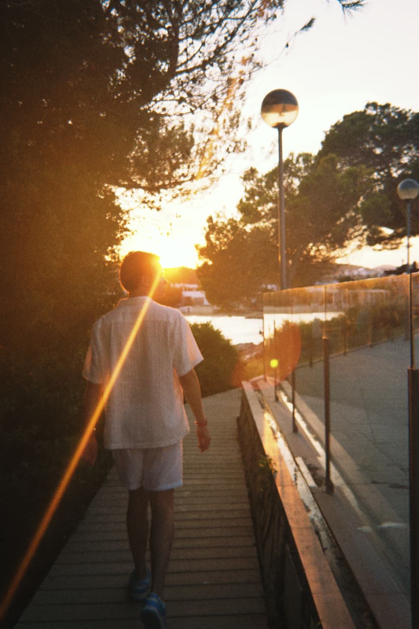 Silvester van Websensation